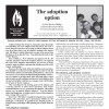 Research Paper - May 2008 - The Adoption Option